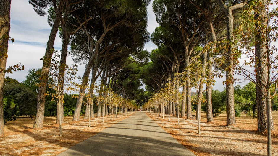 aumento de labios Madrid